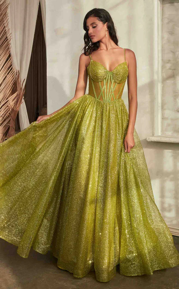 Elegant women's long dress