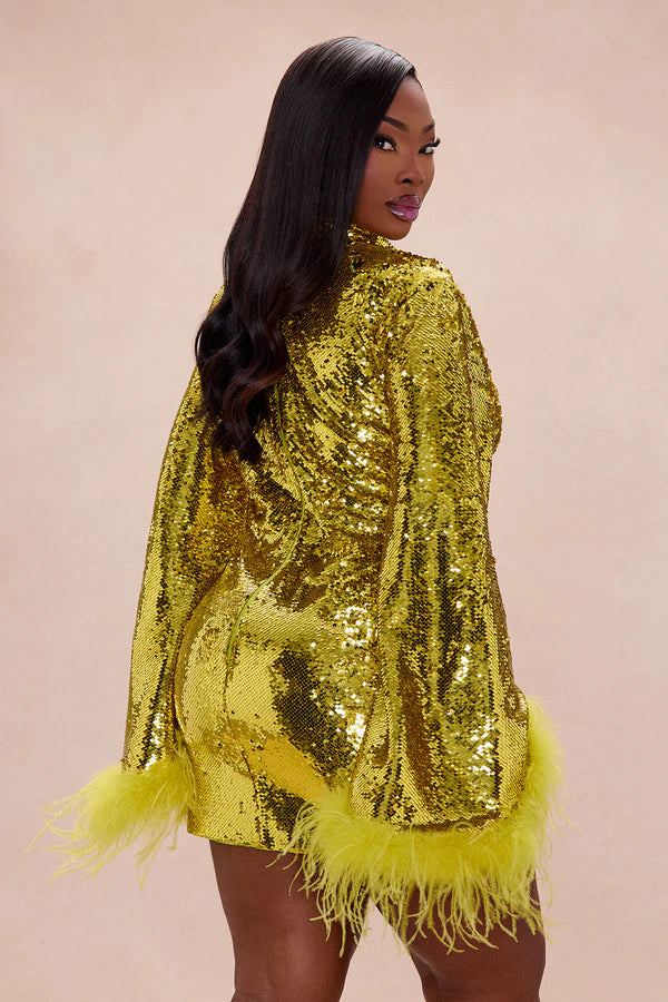Robyn Sequin Feathered Long Sleeve Mini Dress