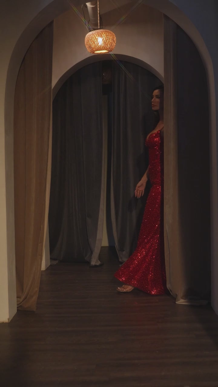 Long Sequin Corset Prom Dress: Ladivine CC0401