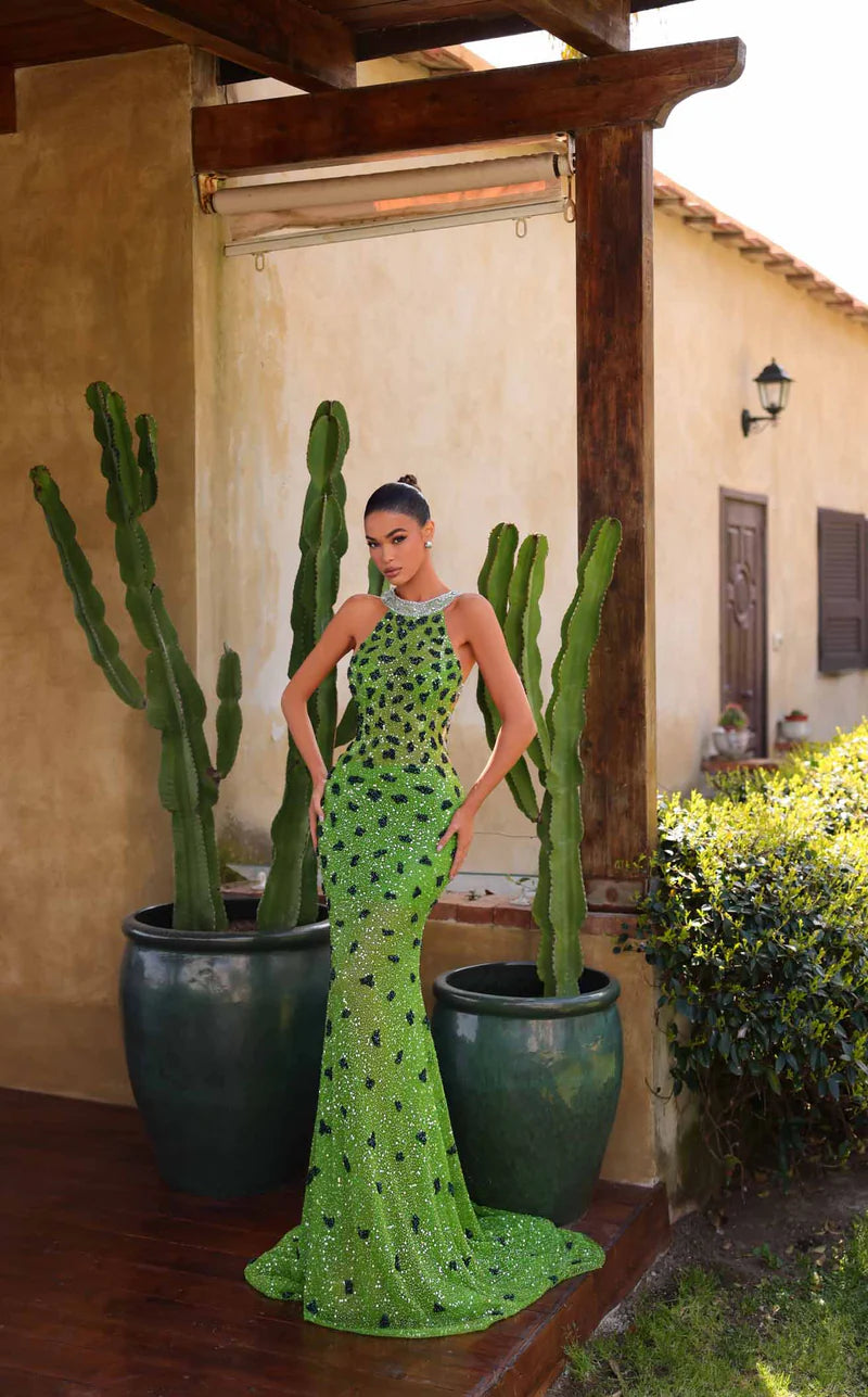 Elegant women's long dress