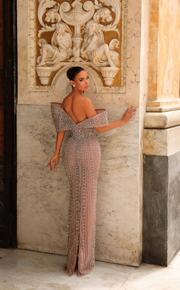 Elegant women's long dress