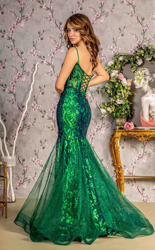 Elegant women's long dress