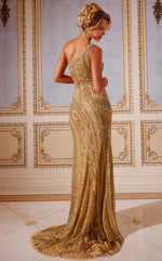 Elegant women's long dress