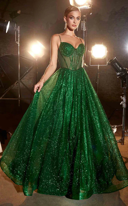 Elegant women's long dress