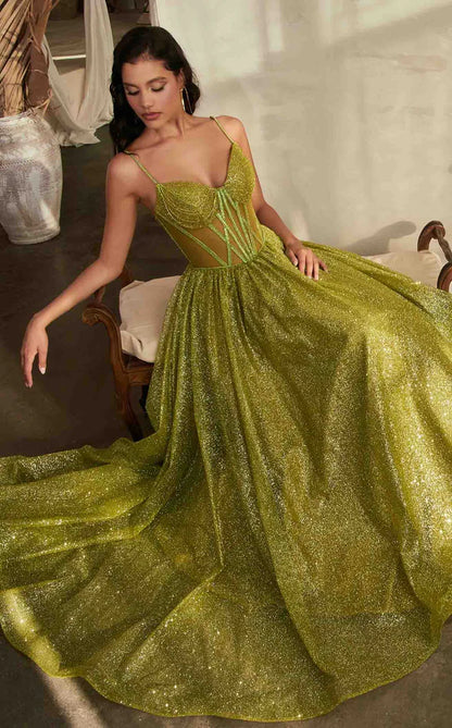 Elegant women's long dress