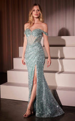 Elegant women's long dress