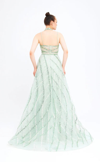 Elegant women's long dress