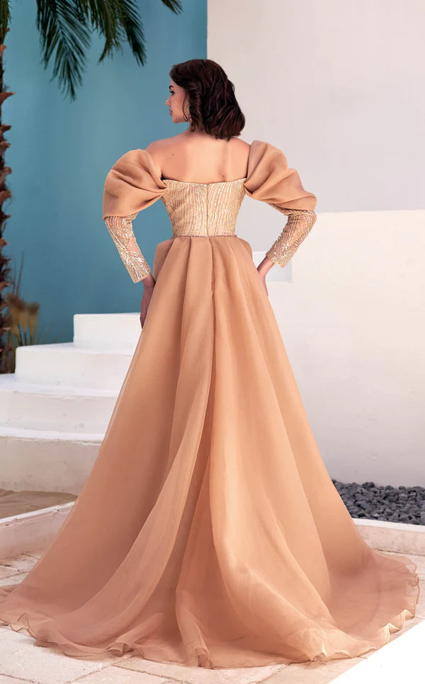 Elegant women's long dress