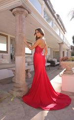 Elegant women's long dress