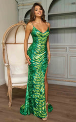 Elegant women's long dress