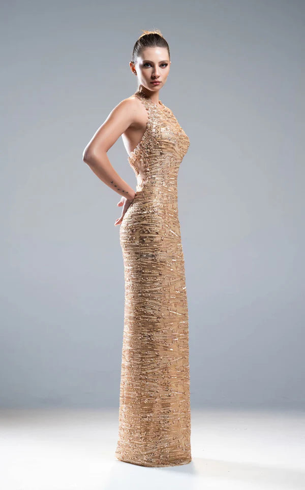 Elegant women's long dress