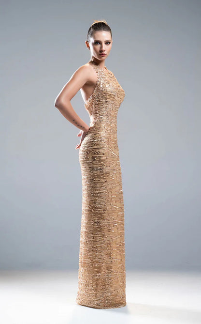 Elegant women's long dress