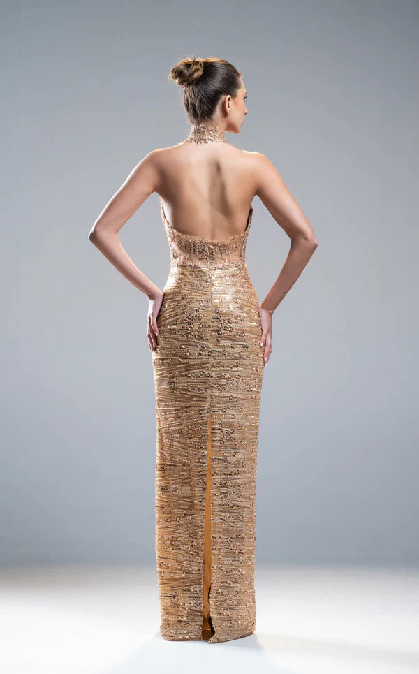 Elegant women's long dress