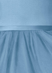 SteelBlue