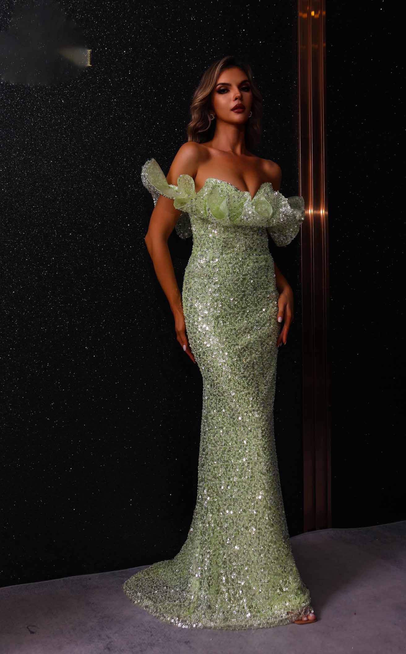 Terani 251E4330 Dress